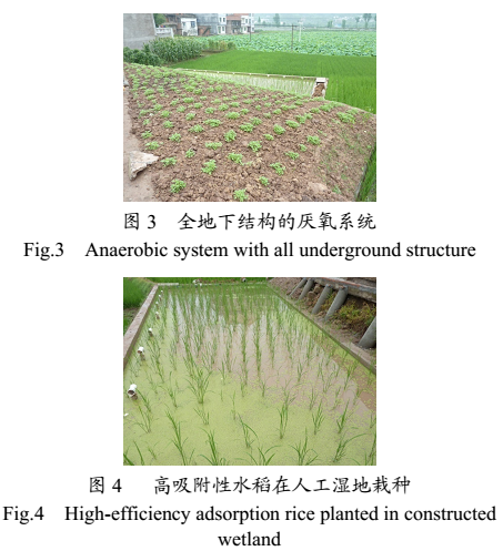 ACGMP���B(t��i)�r(n��ng)����ˮ̎��ϵ�y(t��ng)��(y��ng)��